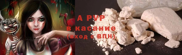 стаф Арсеньев