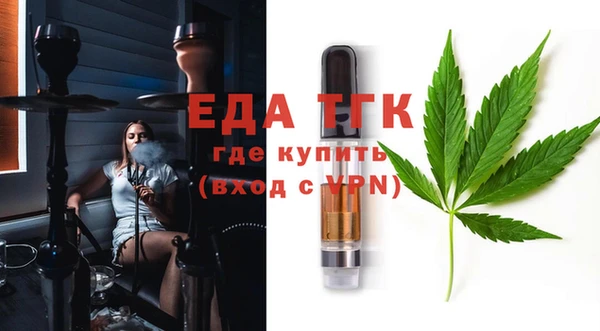 стаф Арсеньев