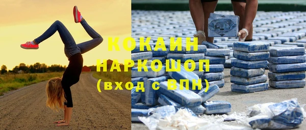 индика Алзамай