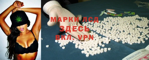 стаф Арсеньев