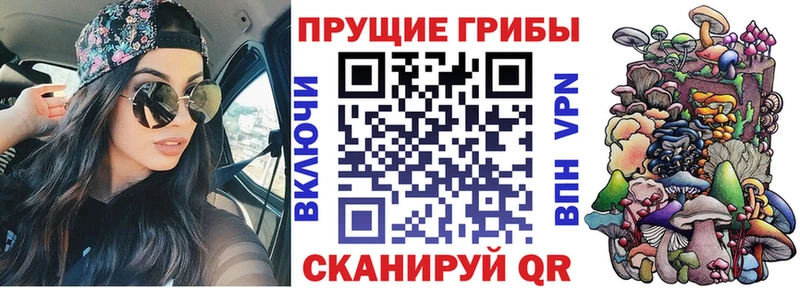 где купить наркотик Майкоп Галлюциногенные грибы ЛСД